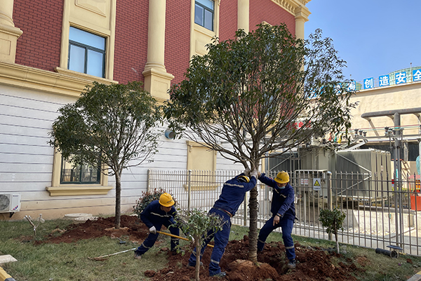 1616396420111528.jpg 4308797125db238d3508ddac62a4afb.jpg