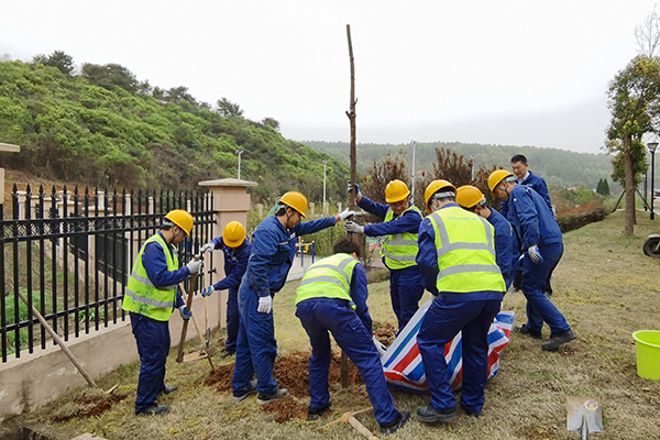 1617171174768471.jpg 植樹1.jpg