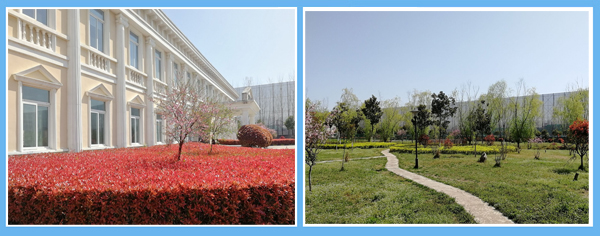 1617845709577971.jpg 2.jpg