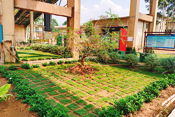 1624588390945370.jpg 改造后的綠化區(qū)域.jpg