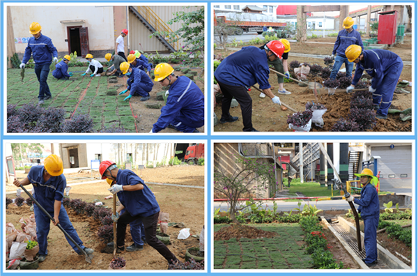 1624605769552393.png 綠化現(xiàn)場的勞動(dòng)場景.png