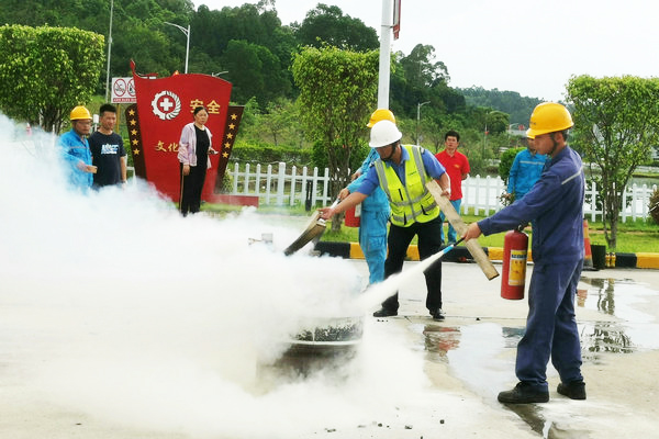 1624782598631673.jpg 2.jpg