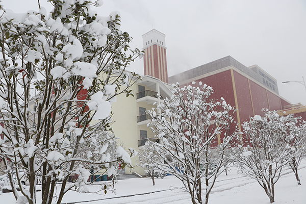 1644821324450431.jpg IMG_5346.JPG