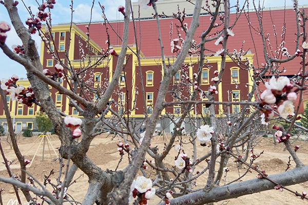 1648452100865428.png 圖片1.png