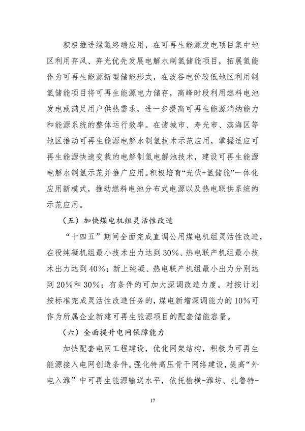 濰坊市可再生能源發(fā)展“十四五”規(guī)劃.docx_44_21.jpg