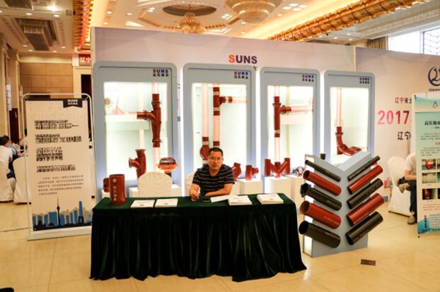 1498294321700906.jpg 10.jpg